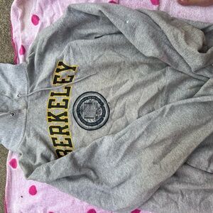 Champion Gray Athletic Hoodie